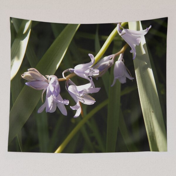 Item preview, Spanish Bluebell designed and sold by gistinker.