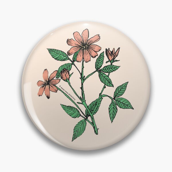 Item preview, Apricot Pompon Rose Bloom Single 1-7 Petals Almost Flat designed and sold by Rachael Taylor.