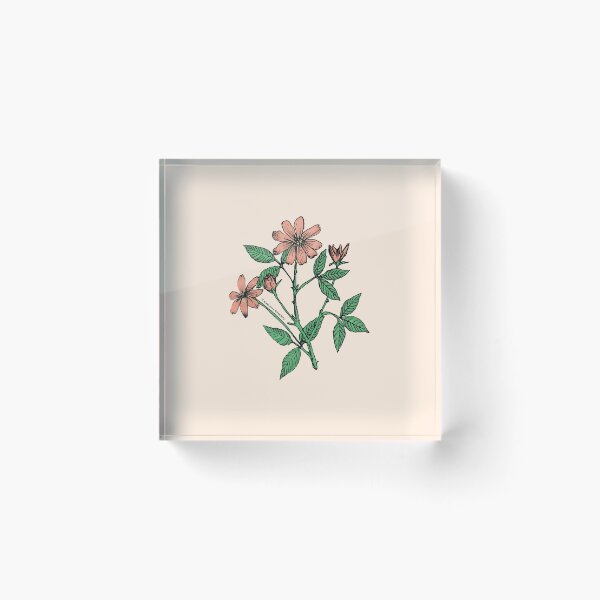 Item preview, Apricot Pompon Rose Bloom Single 1-7 Petals Almost Flat designed and sold by Rachael Taylor.
