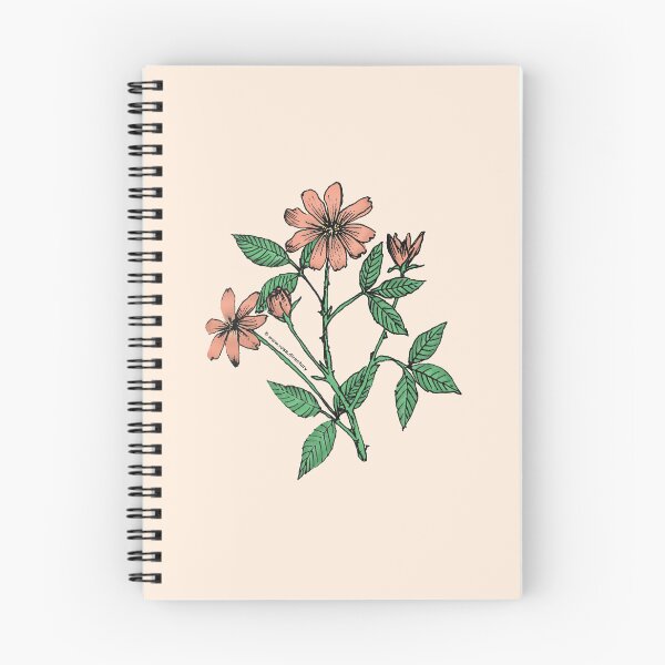 Item preview, Apricot Pompon Rose Bloom Single 1-7 Petals Almost Flat designed and sold by Rachael Taylor.