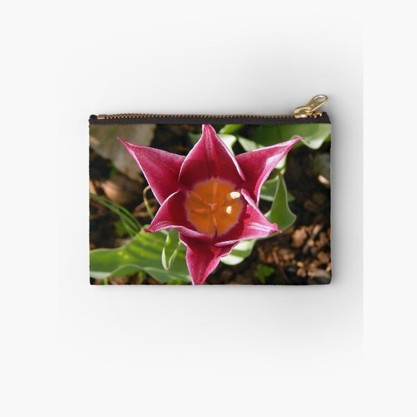 Item preview, Late Afternoon Pink Lined Tulip  designed and sold by gistinker.