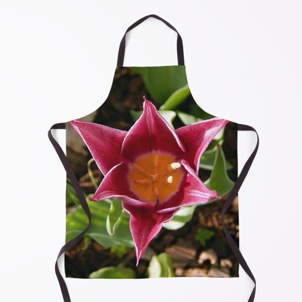 Item preview, Late Afternoon Pink Lined Tulip  designed and sold by gistinker.