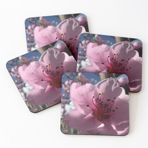 Item preview, Delicate Peach Flowers designed and sold by Betsy Phillips.