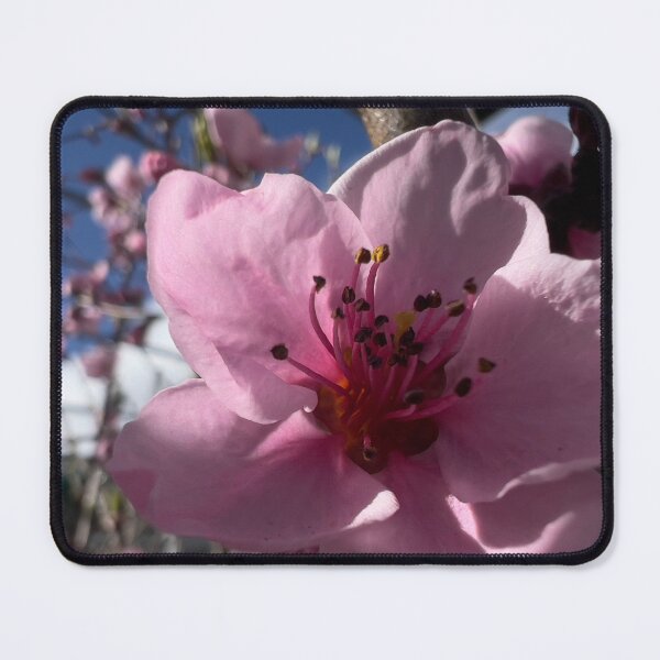 Item preview, Delicate Peach Flowers designed and sold by Betsy Phillips.
