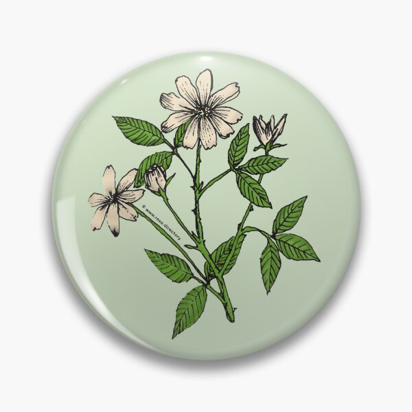 Item preview, Cream Pompon Rose Bloom Single 1-7 Petals Almost Flat designed and sold by Rachael Taylor.
