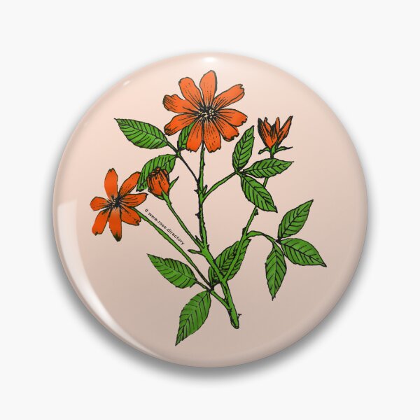 Item preview, Orange Pompon Rose Bloom Single 1-7 Petals Almost Flat designed and sold by Rachael Taylor.