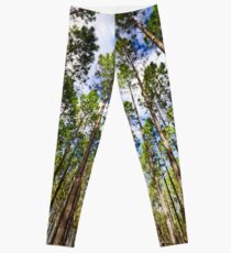 Closing in on me.... Leggings