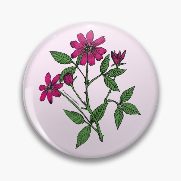 Item preview, Deep Pink Pompon Rose Bloom Single 1-7 Petals Almost Flat designed and sold by Rachael Taylor.