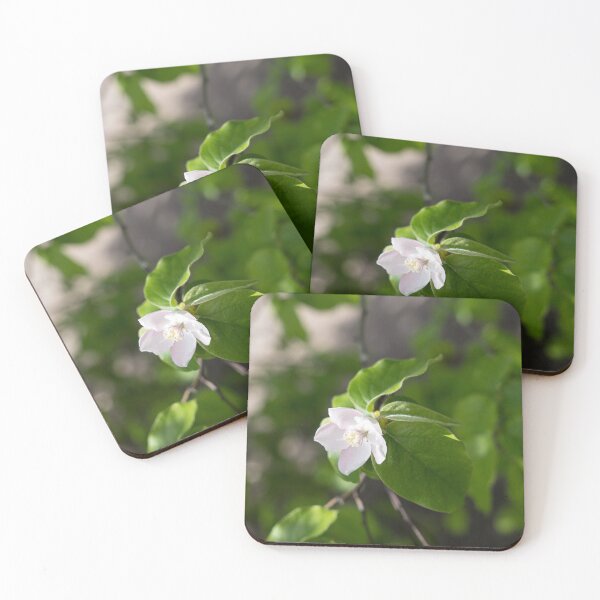 Item preview, A Single Quince Tree Blossom Amidst Velvety Green Leaves designed and sold by Georgia Mizuleva.