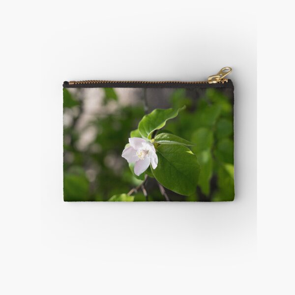 Item preview, A Single Quince Tree Blossom Amidst Velvety Green Leaves designed and sold by Georgia Mizuleva.