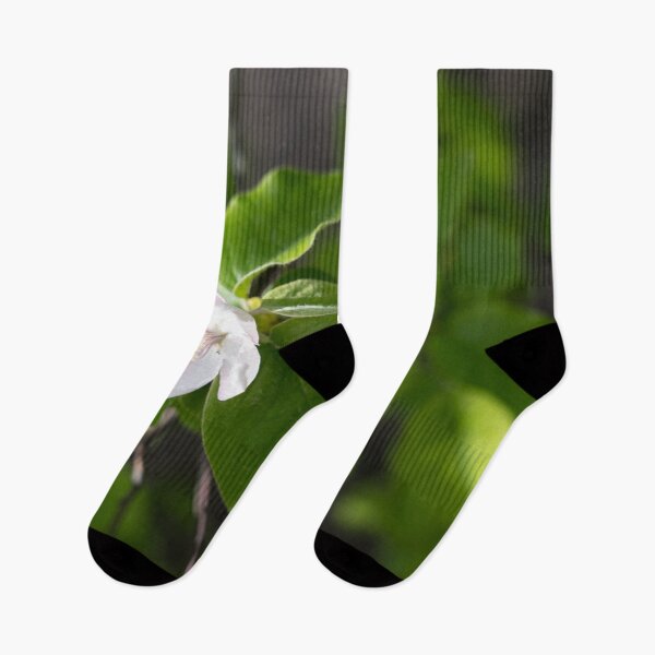 Item preview, A Single Quince Tree Blossom Amidst Velvety Green Leaves designed and sold by Georgia Mizuleva.