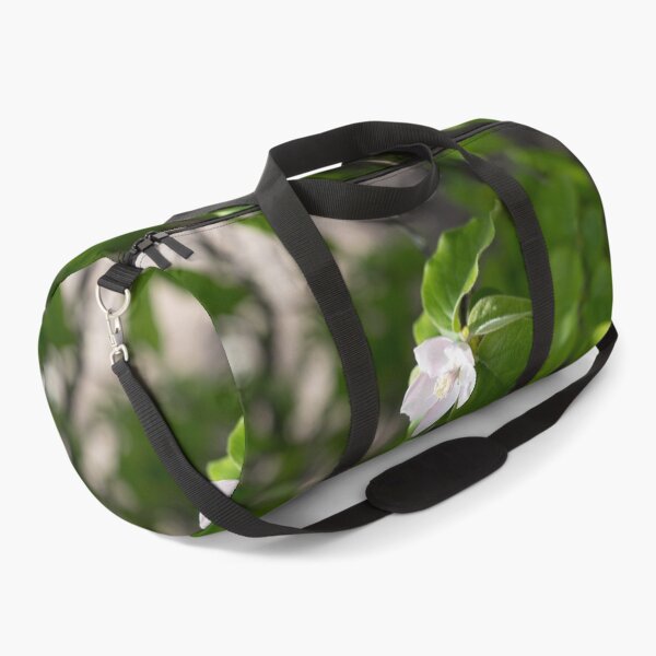 Item preview, A Single Quince Tree Blossom Amidst Velvety Green Leaves designed and sold by Georgia Mizuleva.