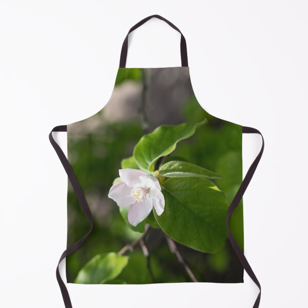 Item preview, A Single Quince Tree Blossom Amidst Velvety Green Leaves designed and sold by Georgia Mizuleva.
