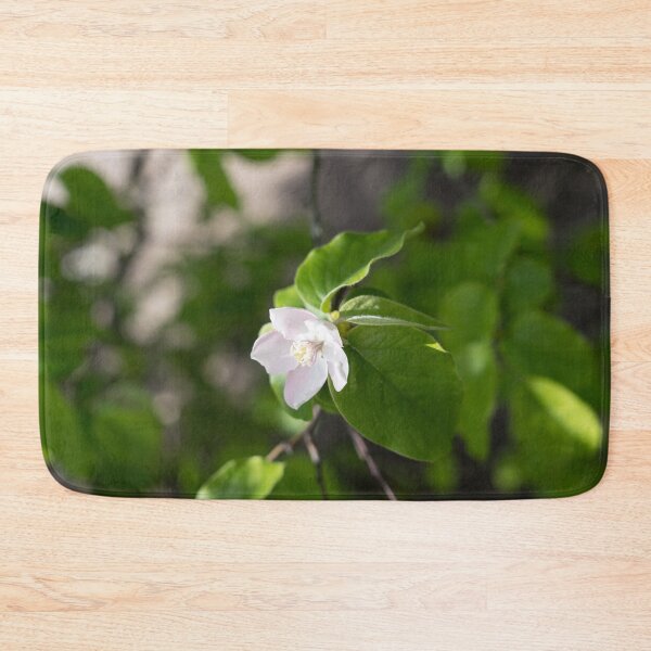 Item preview, A Single Quince Tree Blossom Amidst Velvety Green Leaves designed and sold by Georgia Mizuleva.