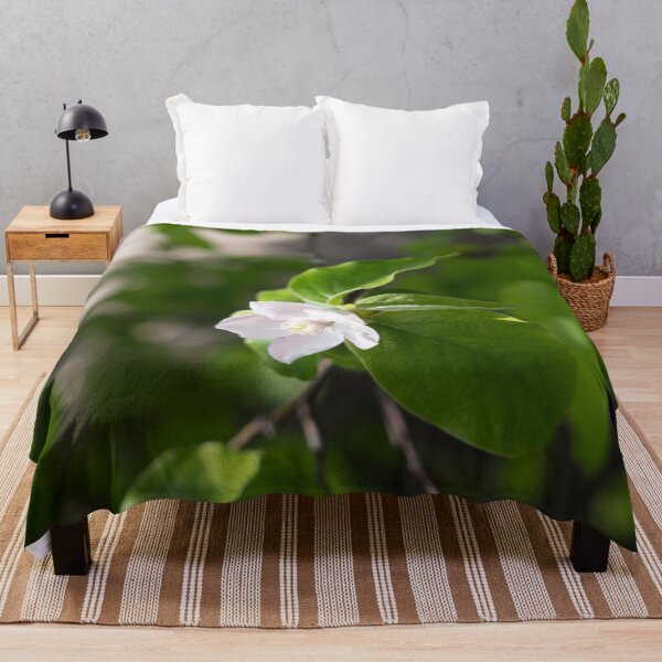 Item preview, A Single Quince Tree Blossom Amidst Velvety Green Leaves designed and sold by Georgia Mizuleva.