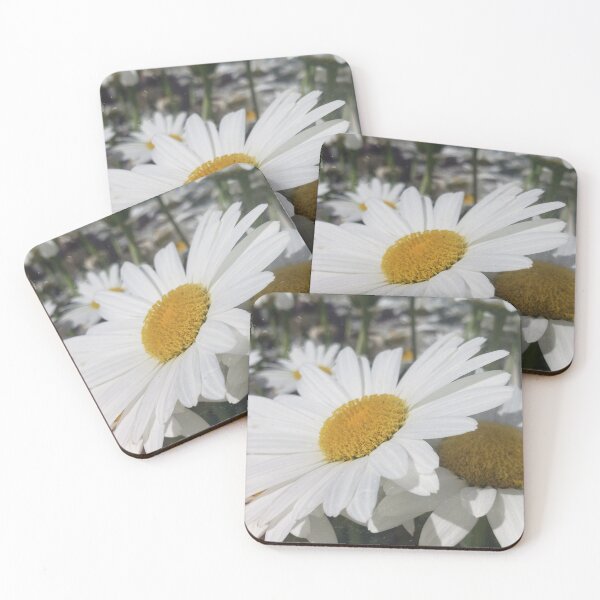 Item preview, Burnt Daisies  designed and sold by OnigiriSuiko.