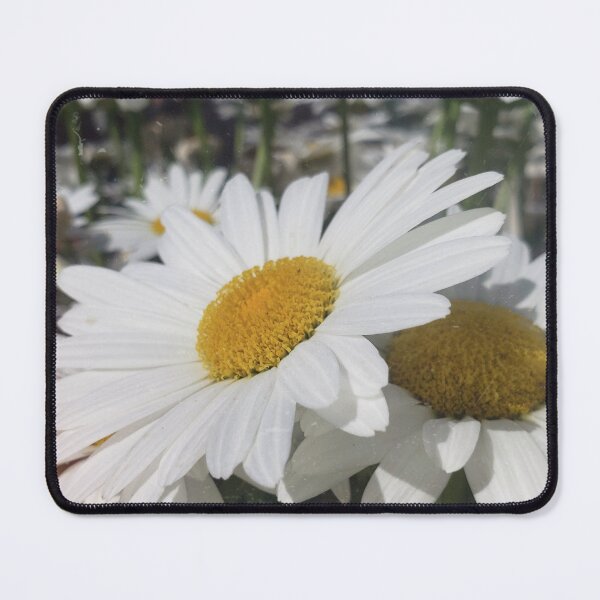 Item preview, Burnt Daisies  designed and sold by OnigiriSuiko.