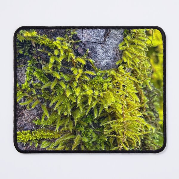 Item preview, Feather Moss  designed and sold by Jess Reynolds.