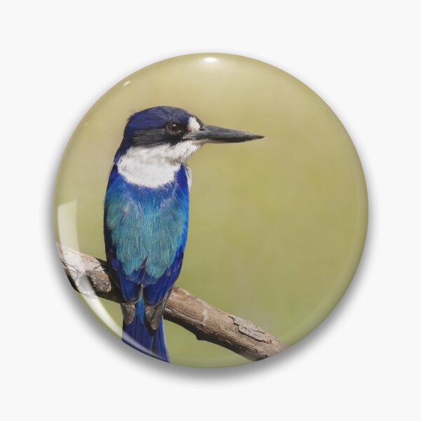 Item preview, Forest Kingfisher  designed and sold by BirdsofMelb.