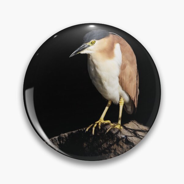 Item preview, Nankeen Night-Heron designed and sold by BirdsofMelb.