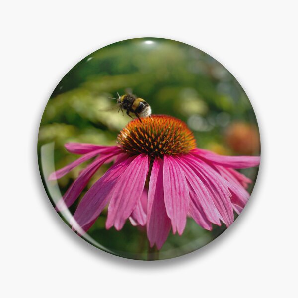 Item preview, Bumblebee on Echinacea  designed and sold by Alisonchambers2.