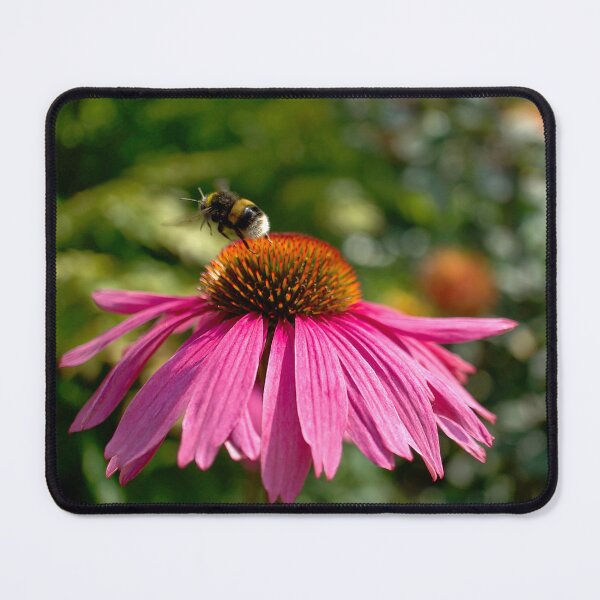 Item preview, Bumblebee on Echinacea  designed and sold by Alisonchambers2.