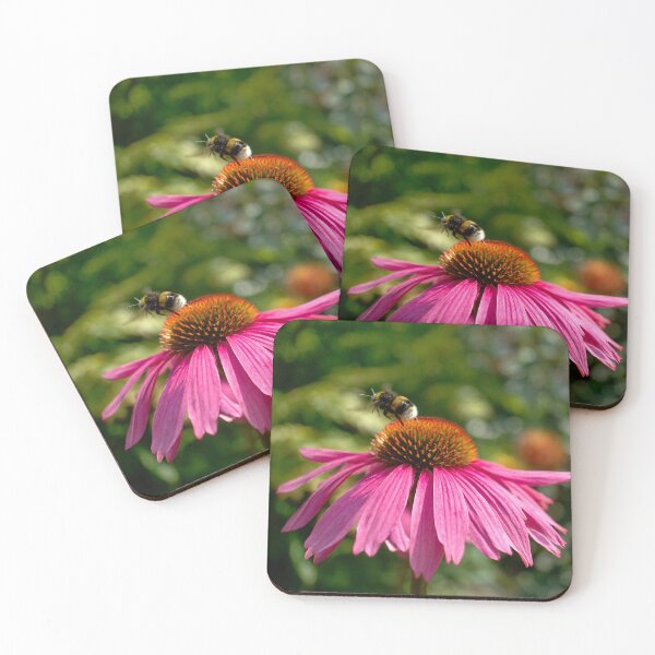 Item preview, Bumblebee on Echinacea  designed and sold by Alisonchambers2.