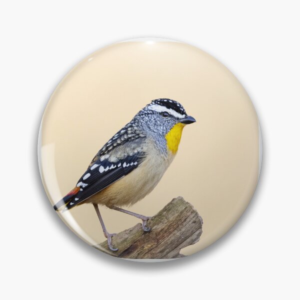 Item preview, Spotted Pardalote designed and sold by BirdsofMelb.