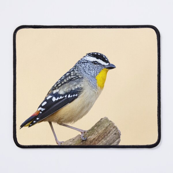 Item preview, Spotted Pardalote designed and sold by BirdsofMelb.