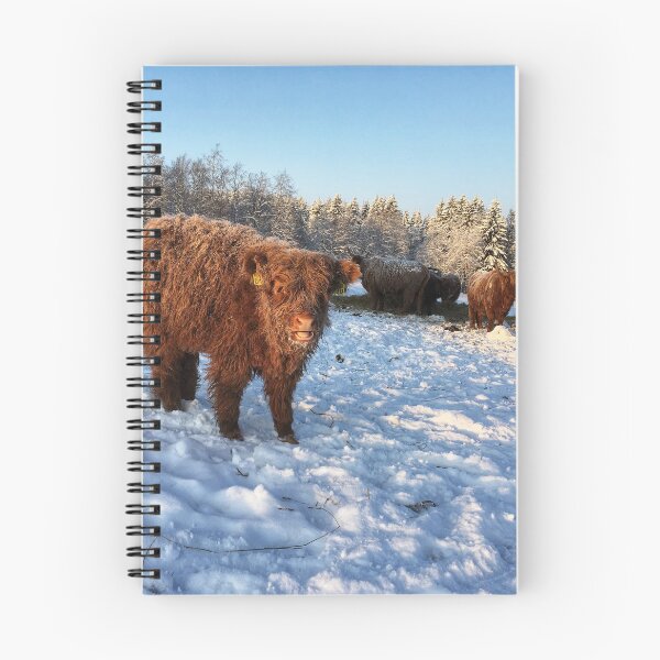 Item preview, Scottish Highland Cattle Calf 1651 designed and sold by SaarelaHighland.