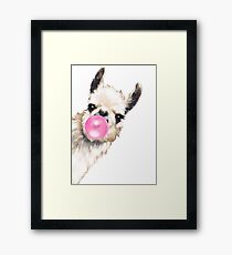 Sneaky Llama with Bubble Gum Framed Print
