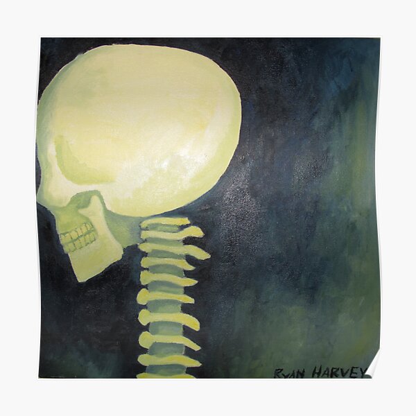 Skull and Spinal Cord Poster