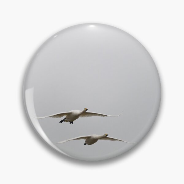 Item preview, Greetings. Whooper swan, designed and sold by Jouko Lehto Photography.