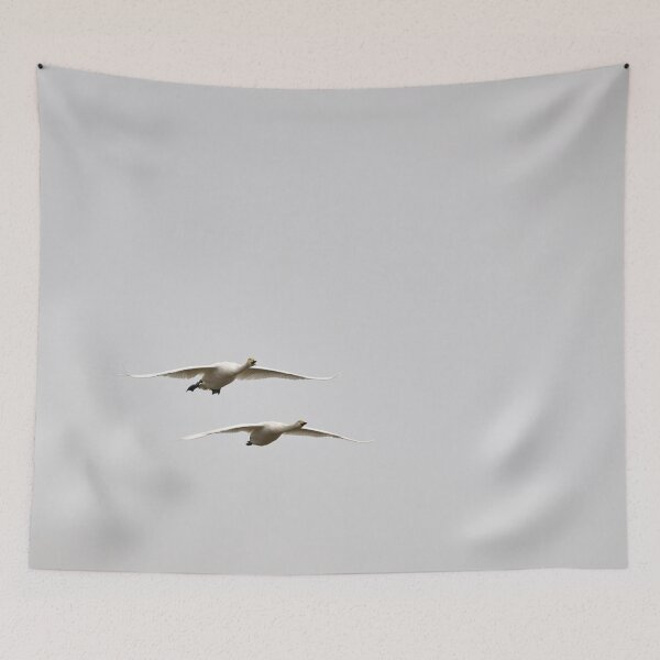 Item preview, Greetings. Whooper swan, designed and sold by Jouko Lehto Photography.