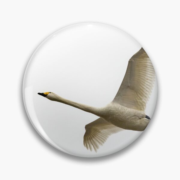 Item preview, The great and bold fly. Whooper swan, designed and sold by Jouko Lehto Photography.