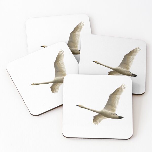 Item preview, The great and bold fly. Whooper swan, designed and sold by Jouko Lehto Photography.