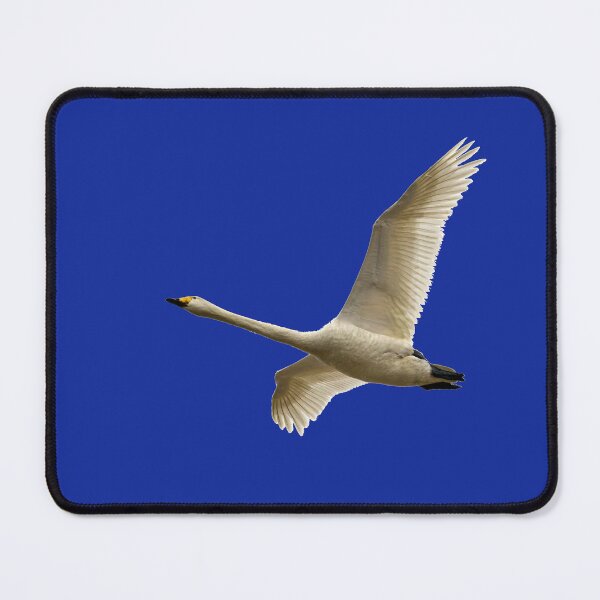 Item preview, The great and bold fly. Whooper swan, designed and sold by Jouko Lehto Photography.