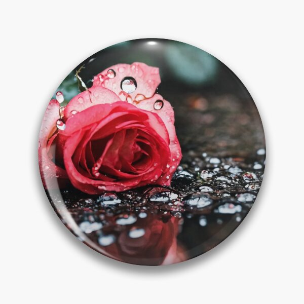 Item preview, Dew drops on roses designed and sold by sa78sa.