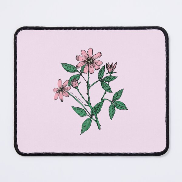 Item preview, Light Pink Pompon Rose Bloom Single 1-7 Petals Almost Flat designed and sold by Rachael Taylor.