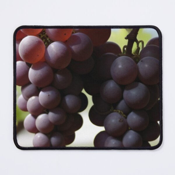 Item preview, Grapevine designed and sold by Sidney Graf.