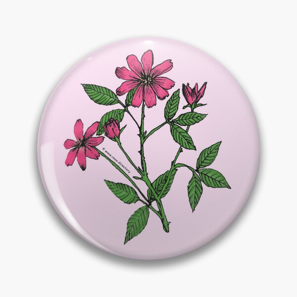 Item preview, Mid Pink Pompon Rose Bloom Single 1-7 Petals Almost Flat designed and sold by Rachael Taylor.