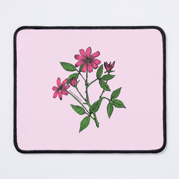 Item preview, Mid Pink Pompon Rose Bloom Single 1-7 Petals Almost Flat designed and sold by Rachael Taylor.