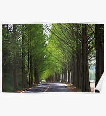 Summer Road Poster