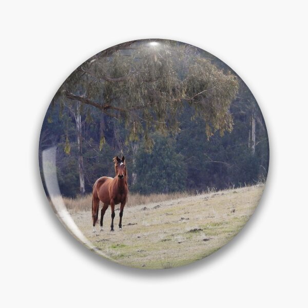 Item preview, Brumbies designed and sold by julie anne  grattan.