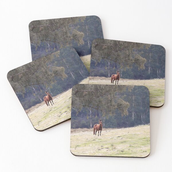 Item preview, Brumbies designed and sold by julie anne  grattan.