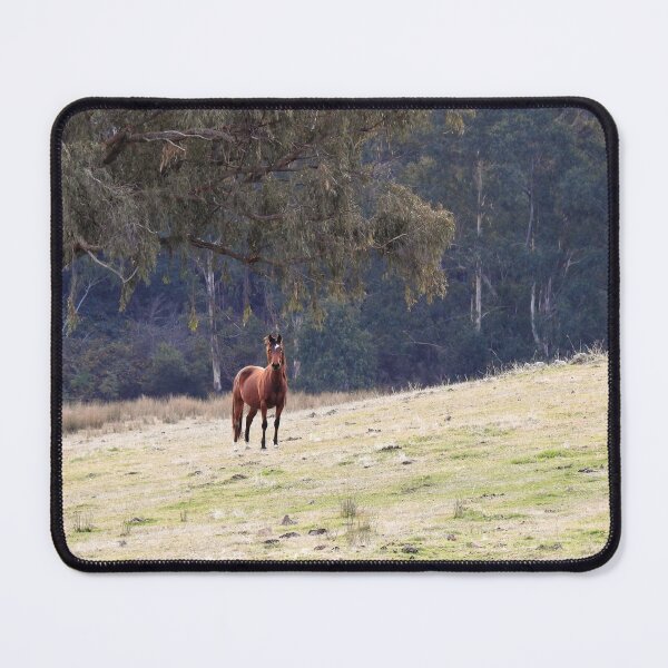 Item preview, Brumbies designed and sold by julie anne grattan.