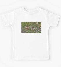 Wheel Decay Kids Tee