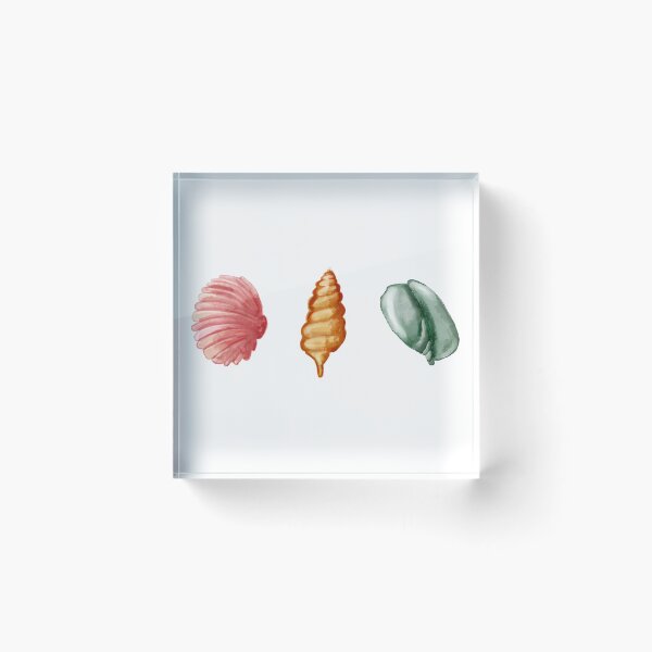 Item preview, Watercolor Seashells on the Beach 3 designed and sold by Pixel & Petal Co..