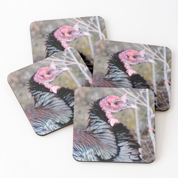 Item preview, Female Wild Turkey designed and sold by Alyce Taylor.