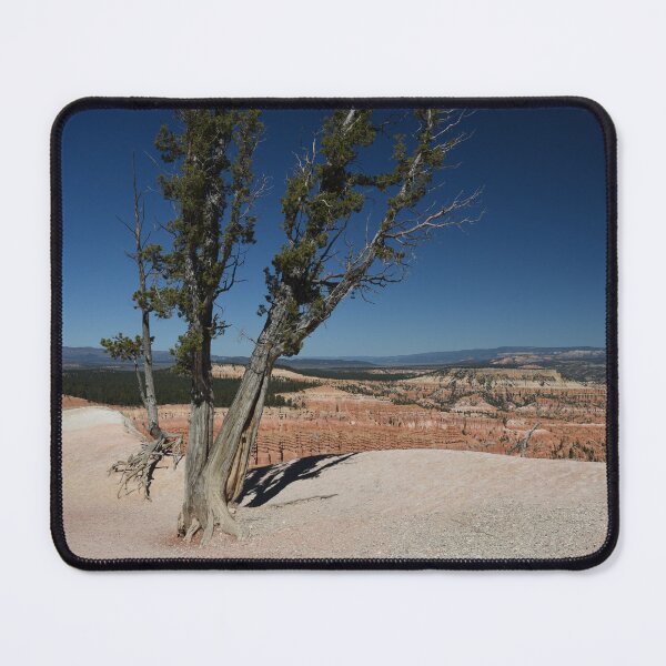 Item preview, Trees in Bryce Canyon designed and sold by KWAPhoto.